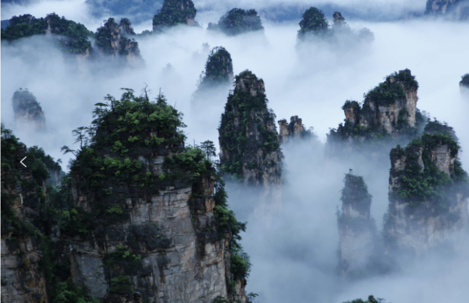 康養(yǎng)游大勢已至，張家界武陵源區(qū)點“藥”成金